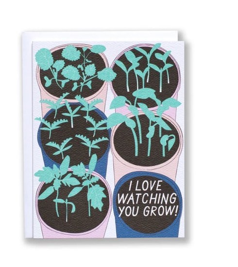 Watching You Grow — Seedlings